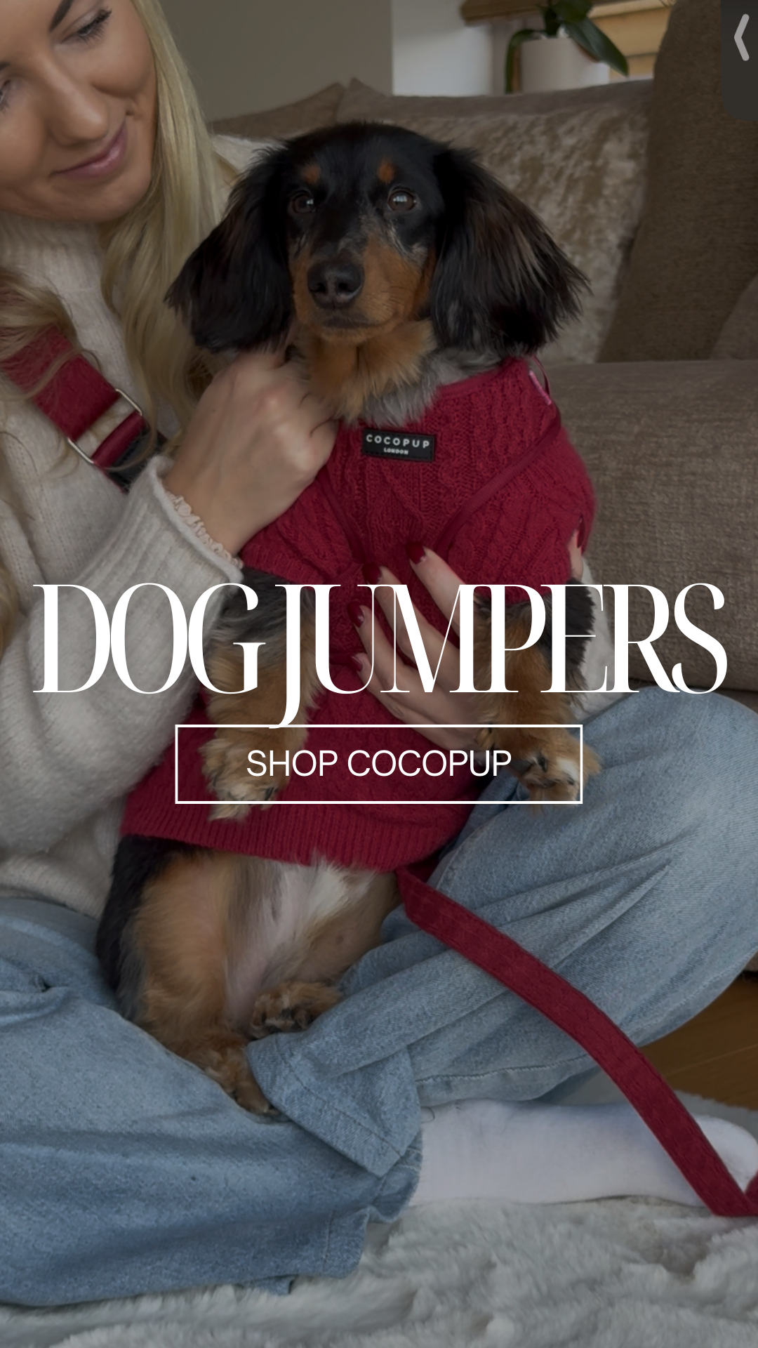 Cocopupuk Facebook ad