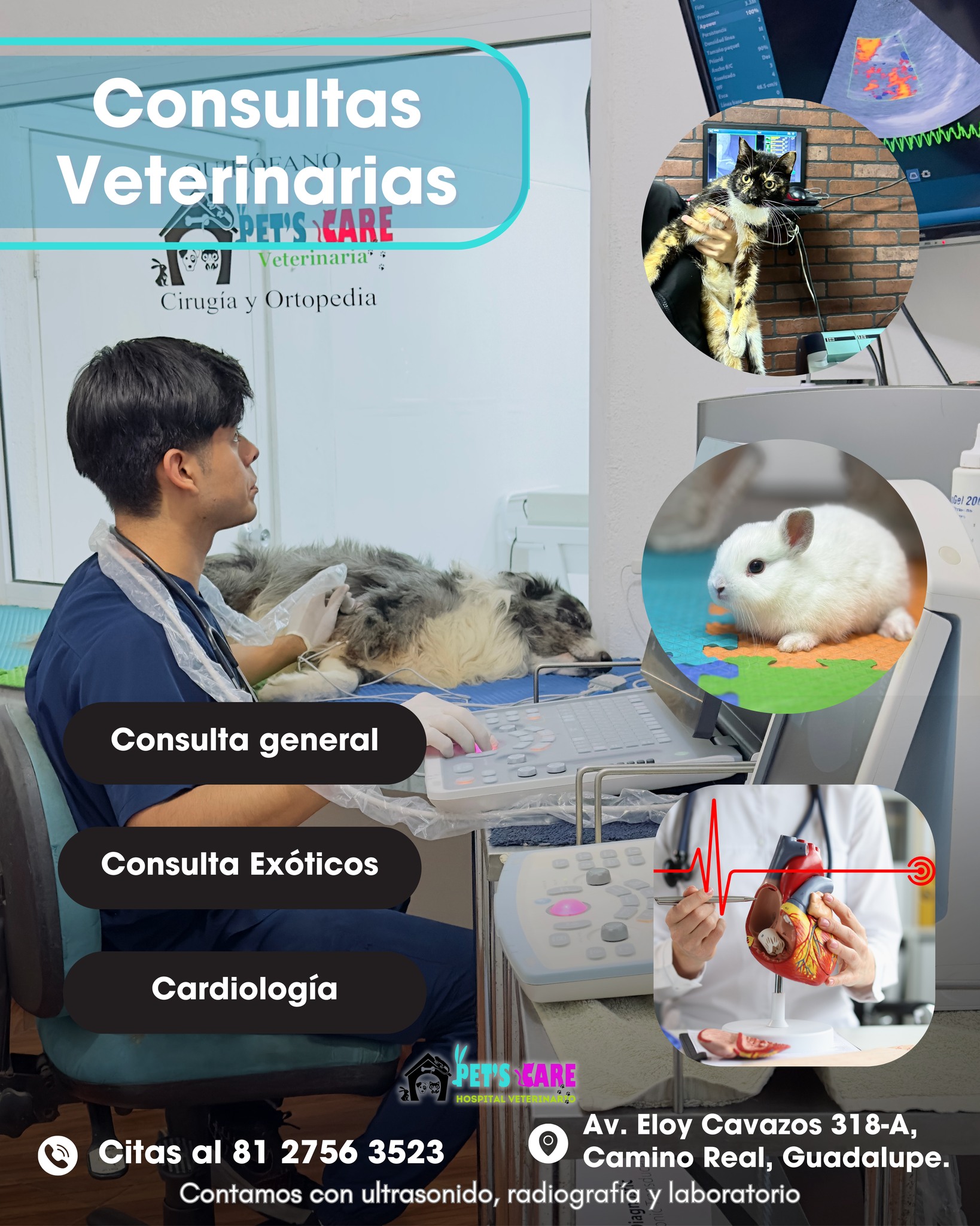 PetsCareveterinaria Facebook ad