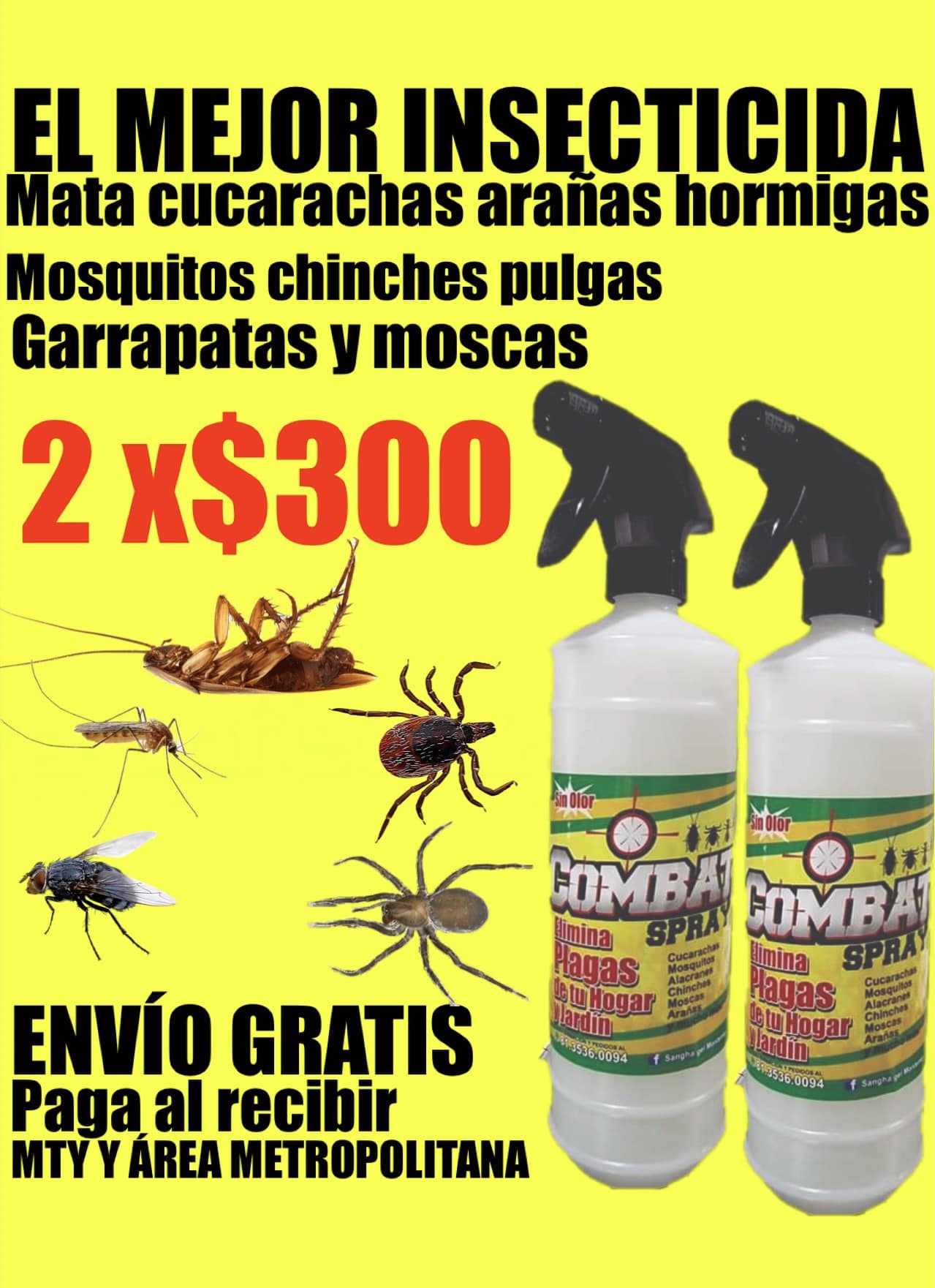 Sangha Gel Monterrey Facebook ad: EL MEJOR INSECTICIDA CON RESULTADOS INMEDIATOS