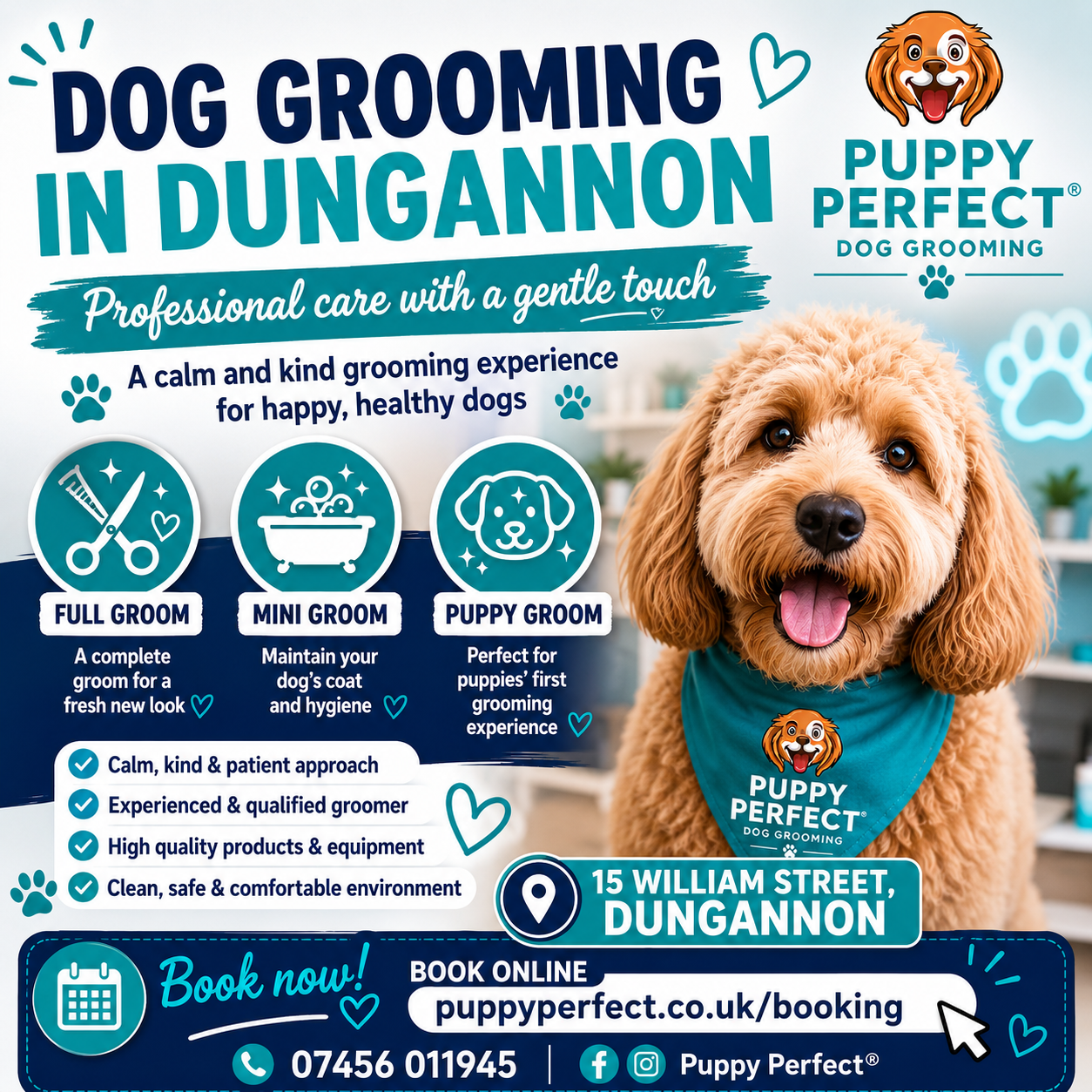 Puppy Perfect Facebook ad: Dog Grooming Dungannon