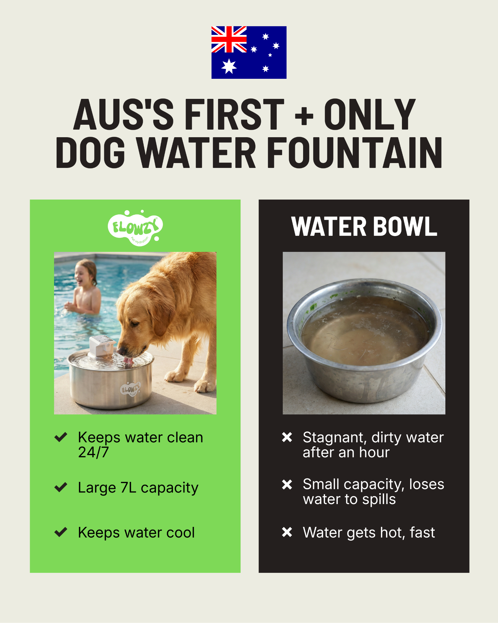 Dog Health Australia Facebook ad