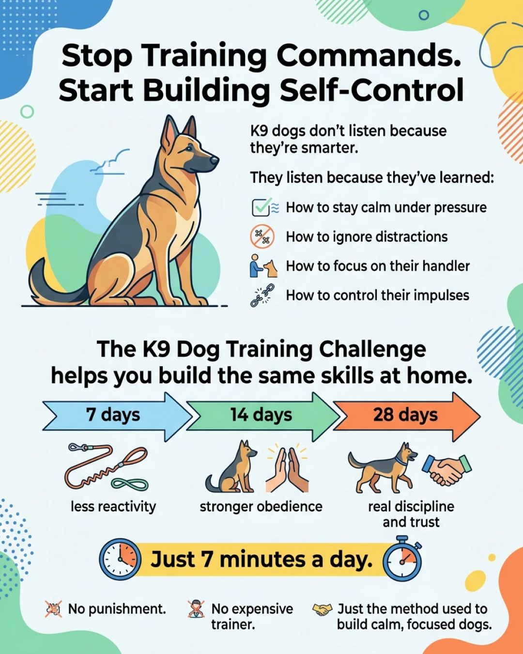 Ben Your Puppy Trainer Facebook ad