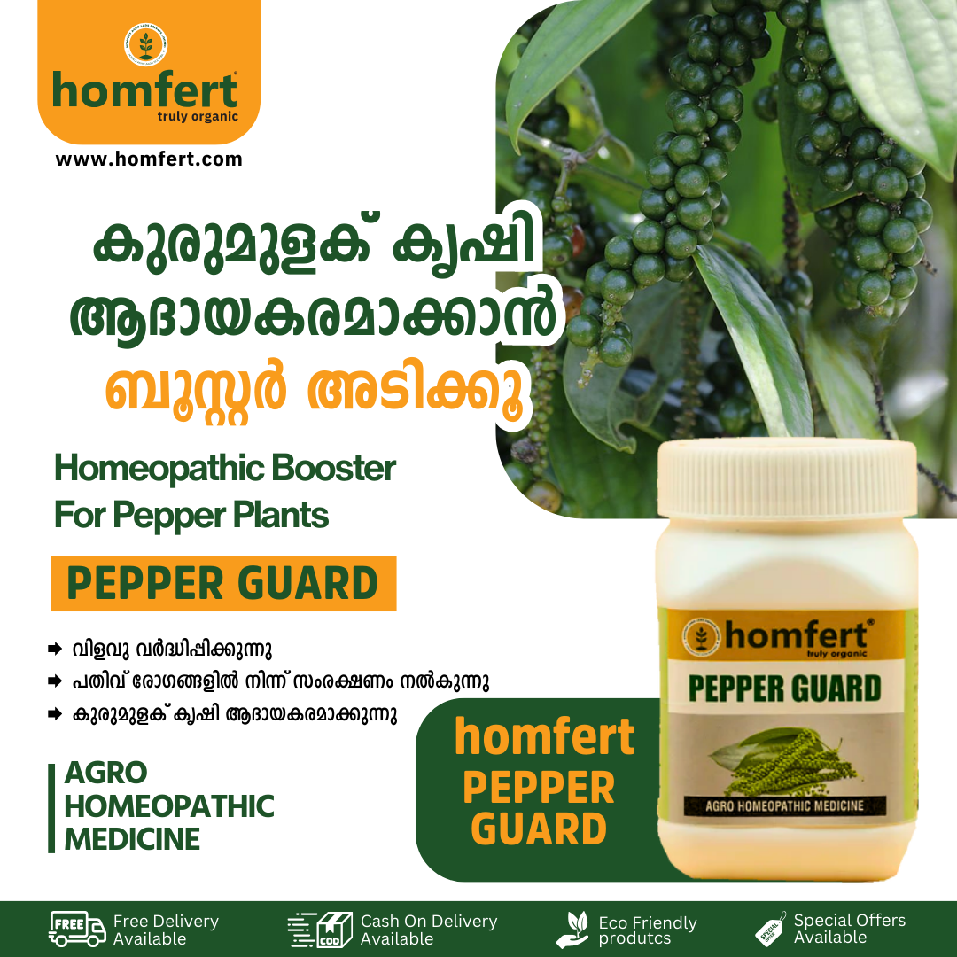 Homfert Facebook ad
