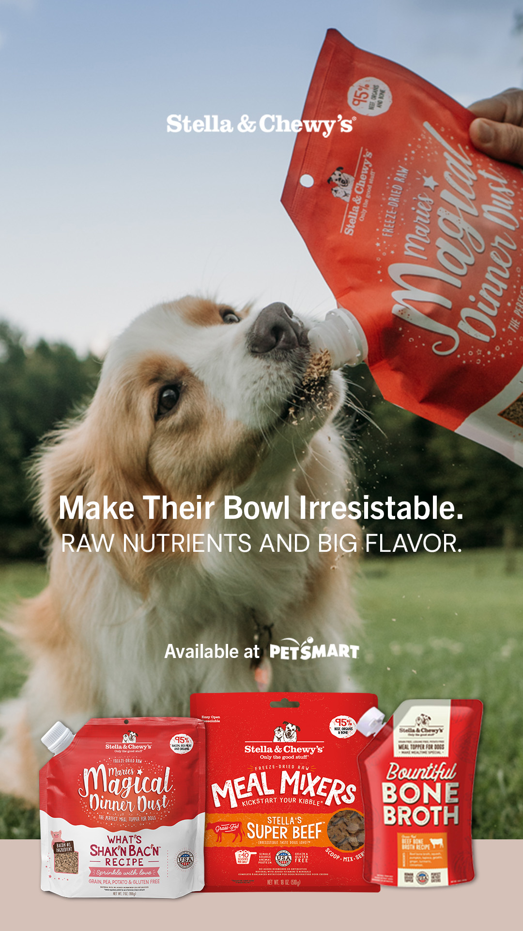 Stella & Chewy's Facebook ad
