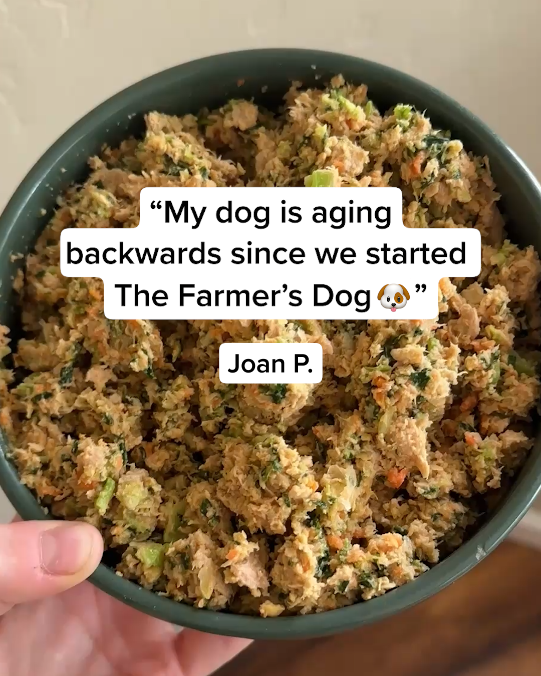 Dog Wellness Dispatch Facebook ad