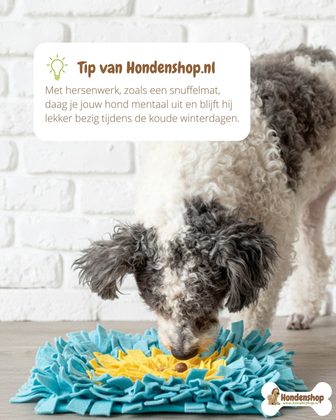 Online Hondenschool Facebook ad
