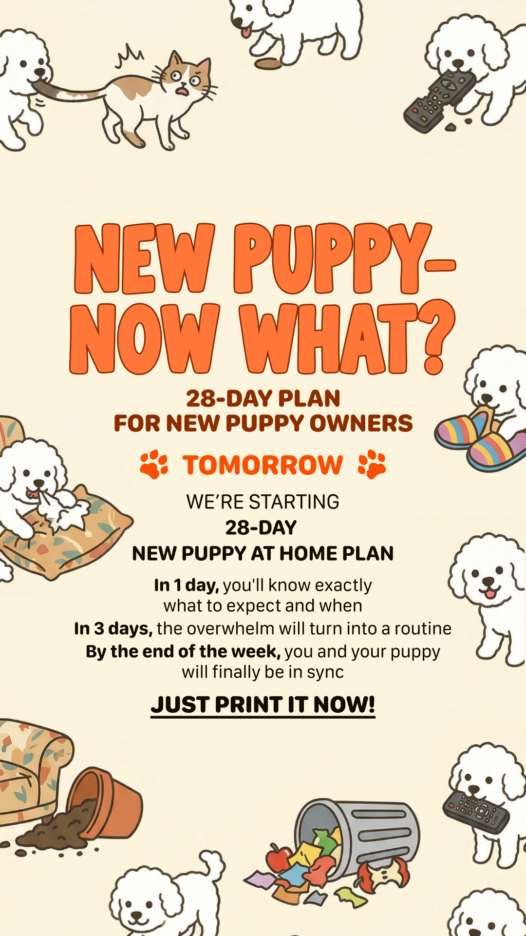 Woofz - Puppy Training Facebook ad