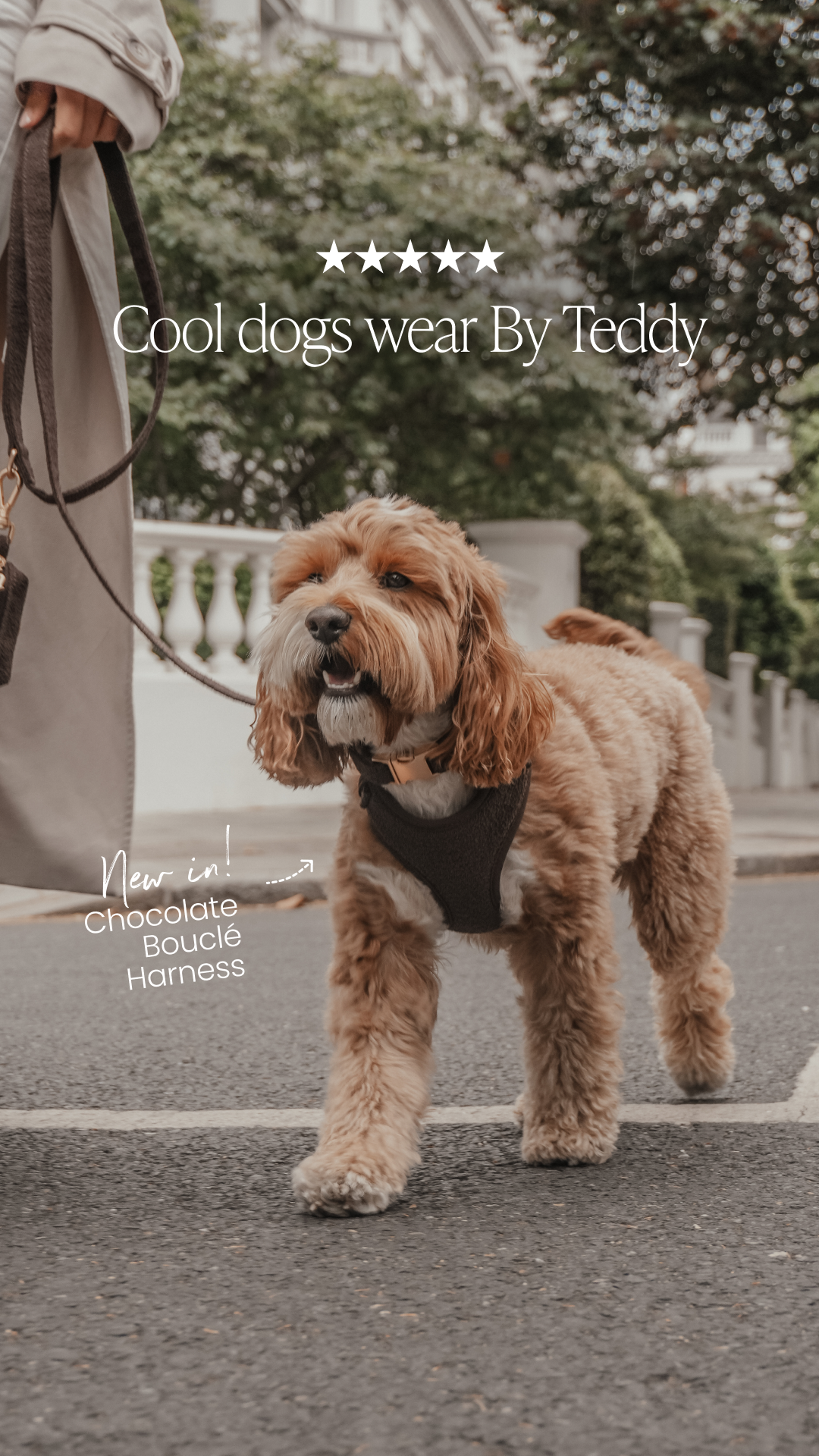 By Teddy Facebook ad