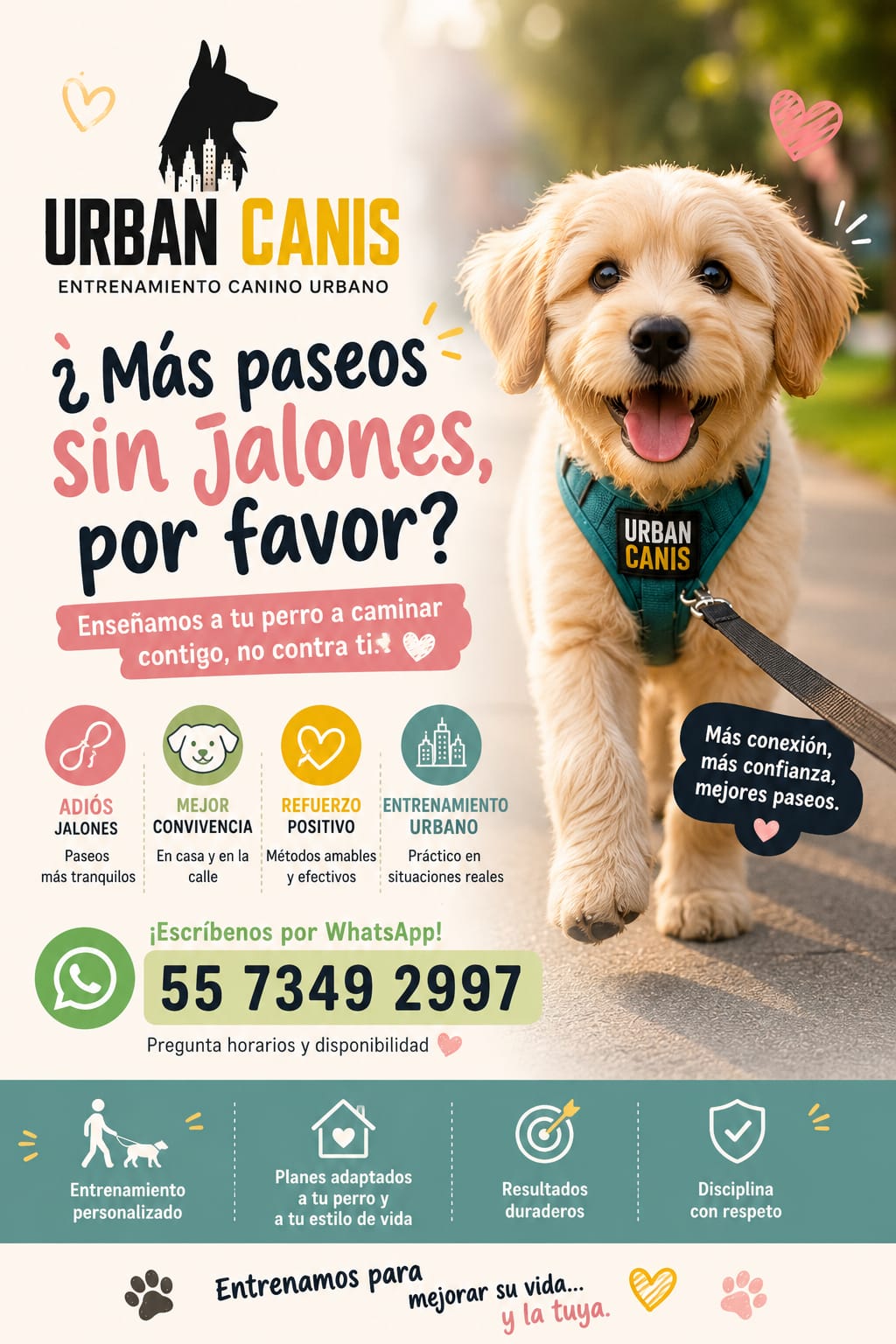 Urban Canis Facebook ad