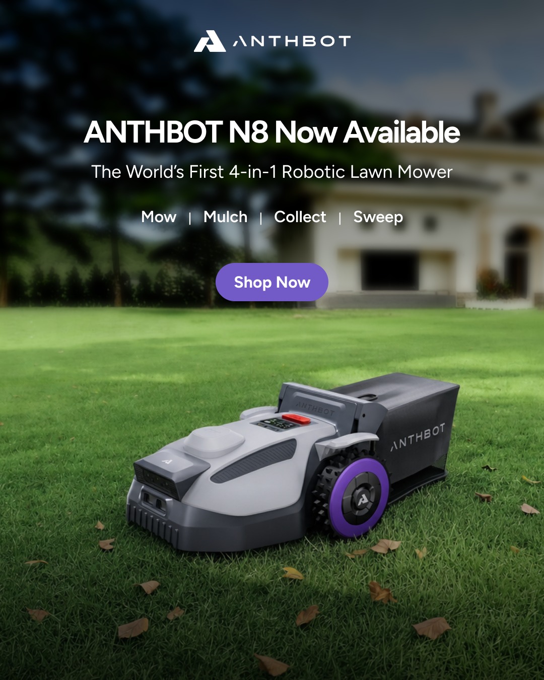 ANTHBOT Facebook ad: ANTHBOT N8