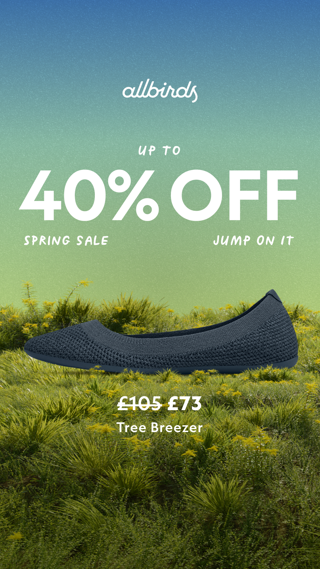 Allbirds Facebook ad