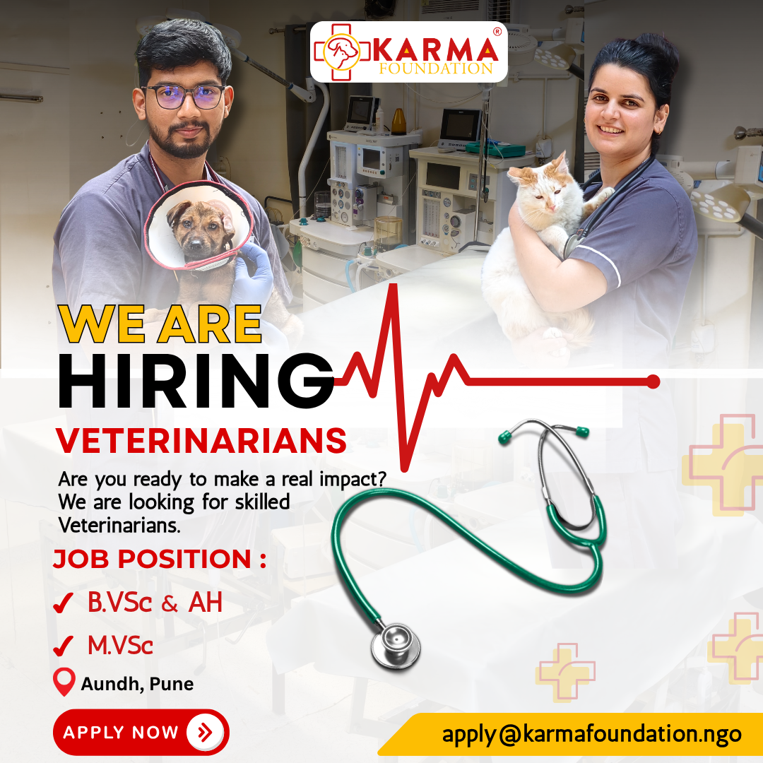 Karma Rescue Foundation Facebook ad