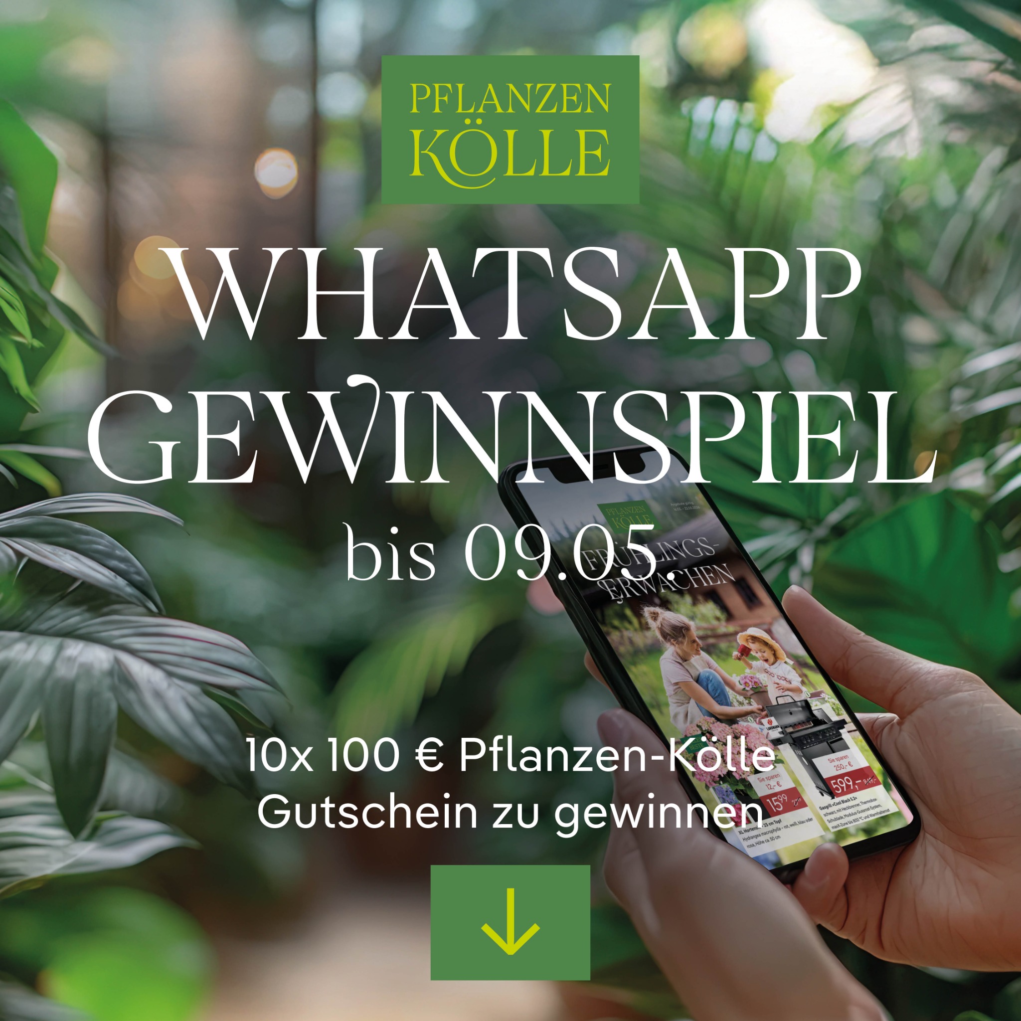 Pflanzen-Kölle Facebook ad