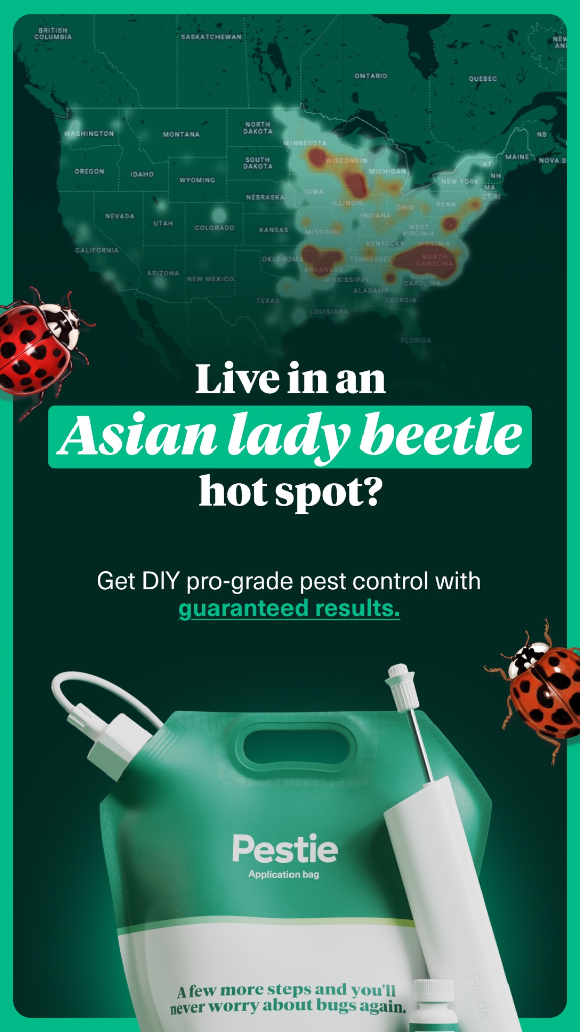 Pestie Facebook ad