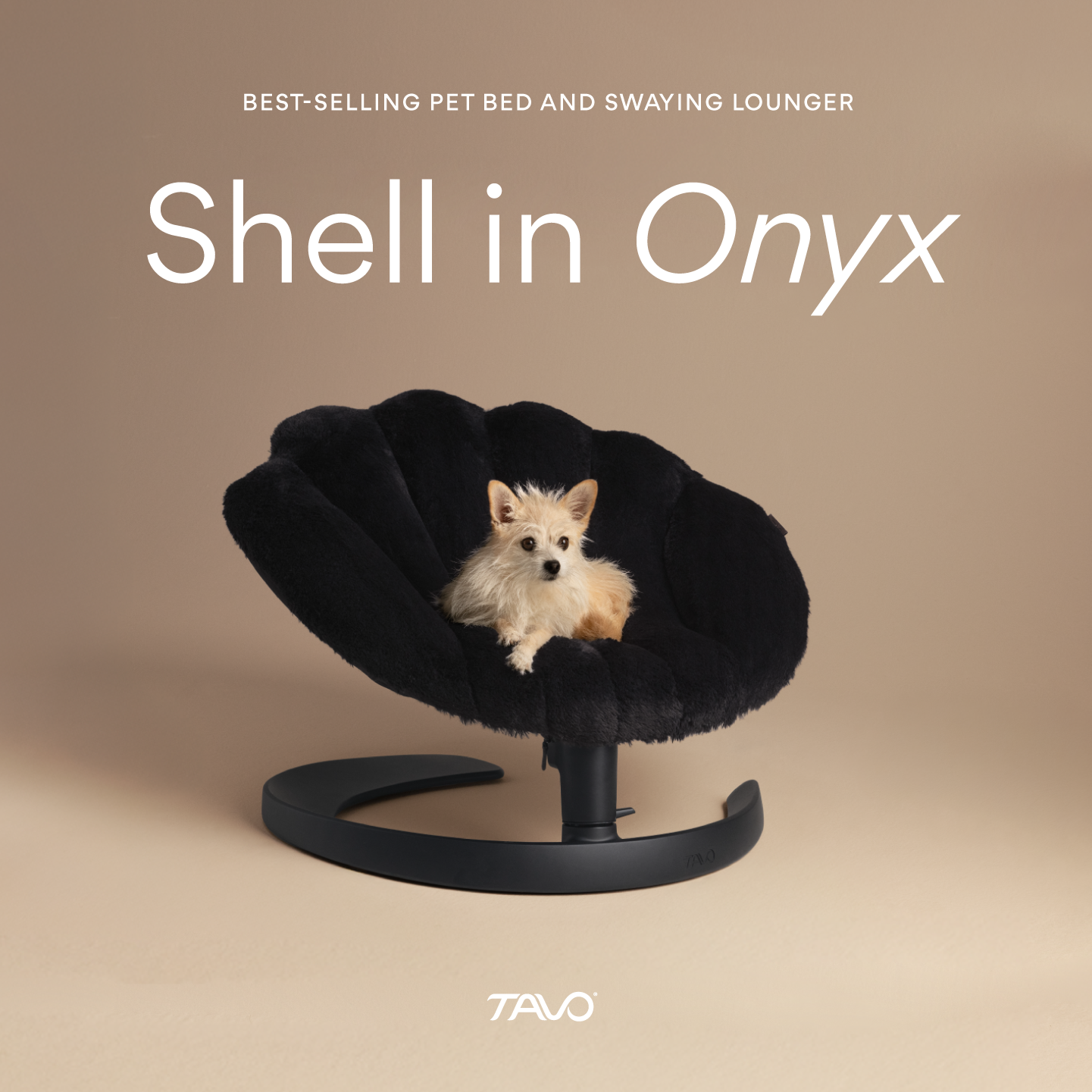 Chewy Facebook ad: Shell Pet Bed & Lounger