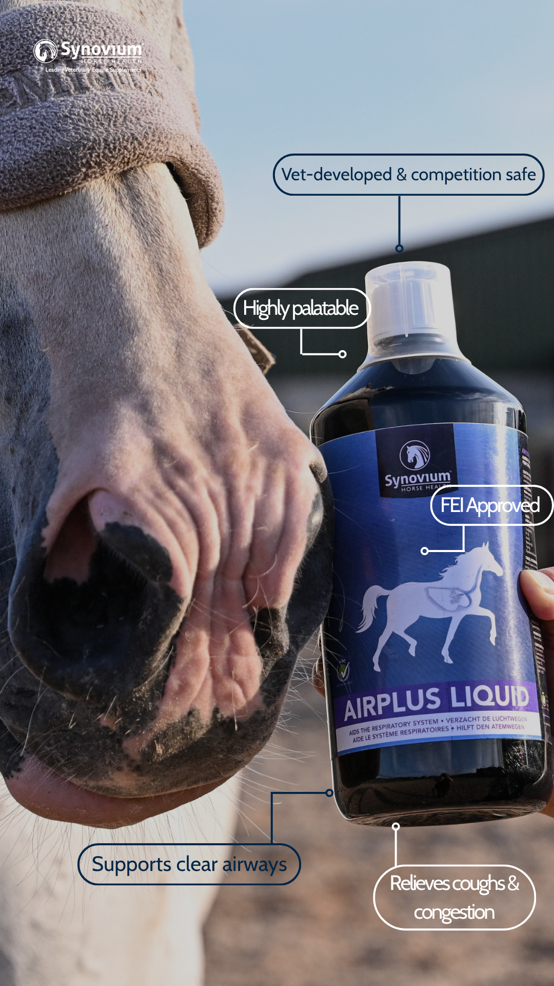 Synovium Horse Health Supplements UK Facebook ad from Jul 14, 2026