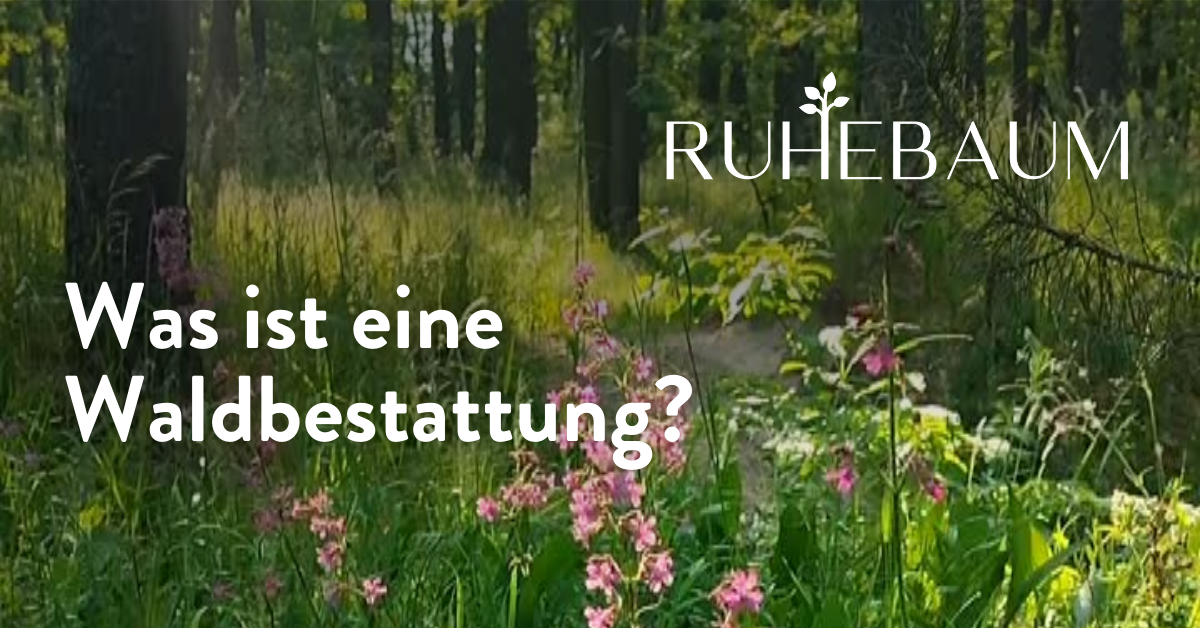 Ruhebaum - Frieden finden im Wald Facebook ad from May 6, 2026