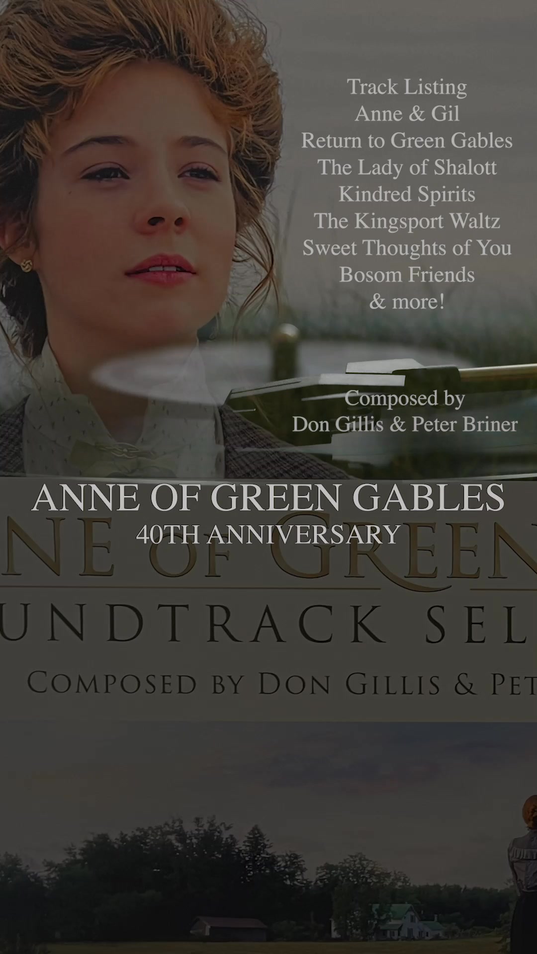 Anne of Green Gables Facebook ad: Introducing the Anne Vinyl!
