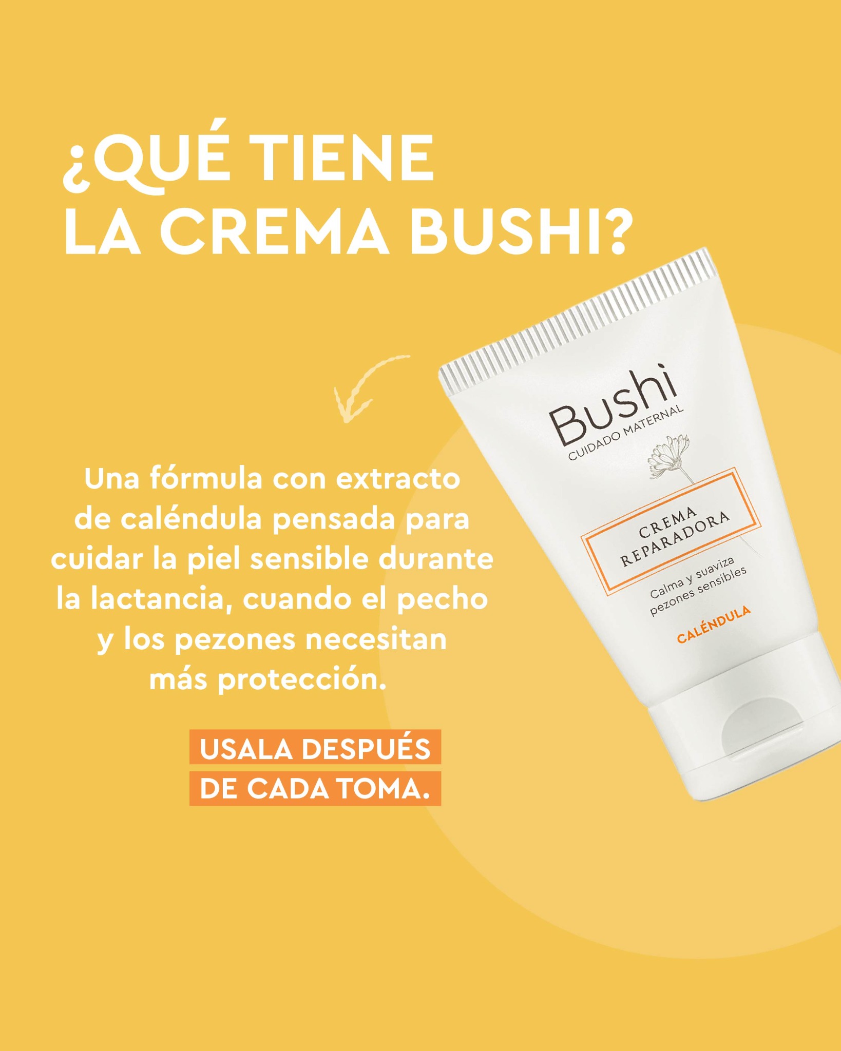 Bushi Facebook ad
