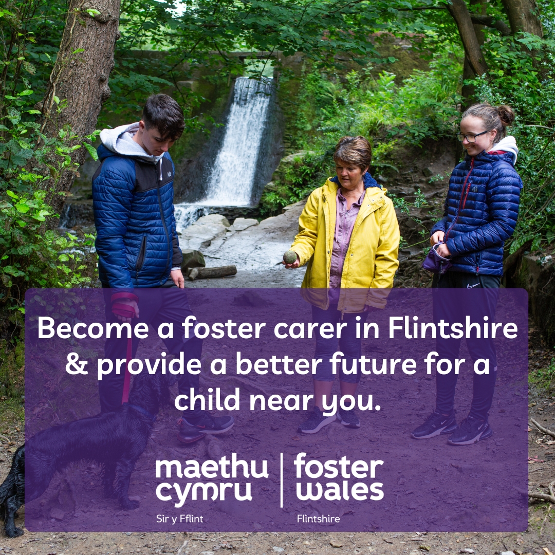 Foster Wales Facebook ad