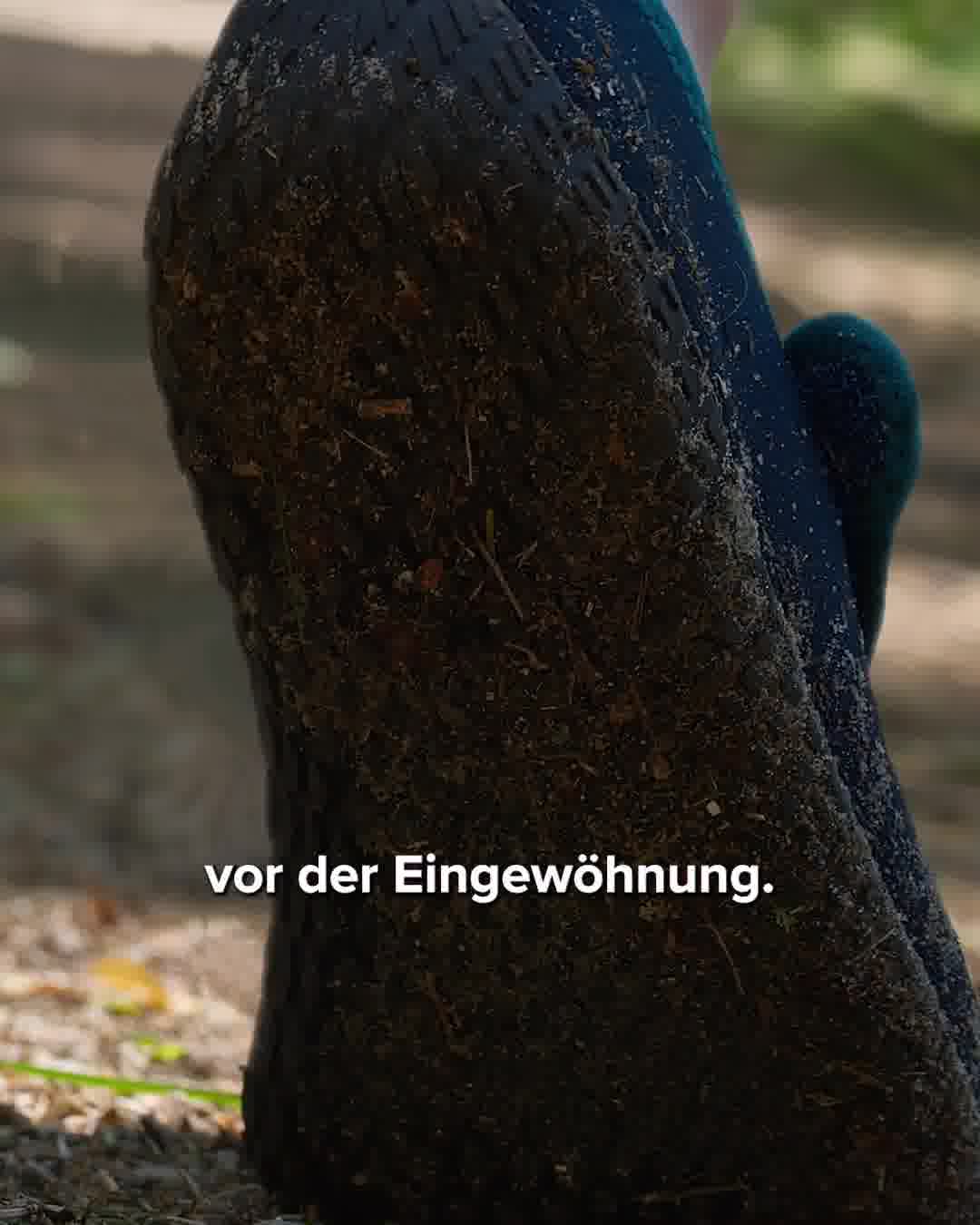 Freiluftkind Facebook ad: Natürlich schmerzfrei, mit Barfußschuhen von Freiluftkind