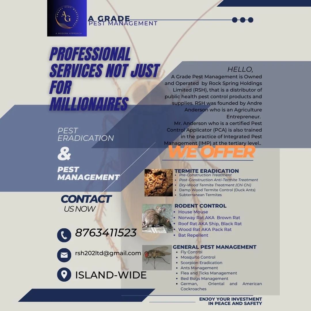 rock_spring_holdings_limited Facebook ad: Professional Services Not Just for Millionaires!