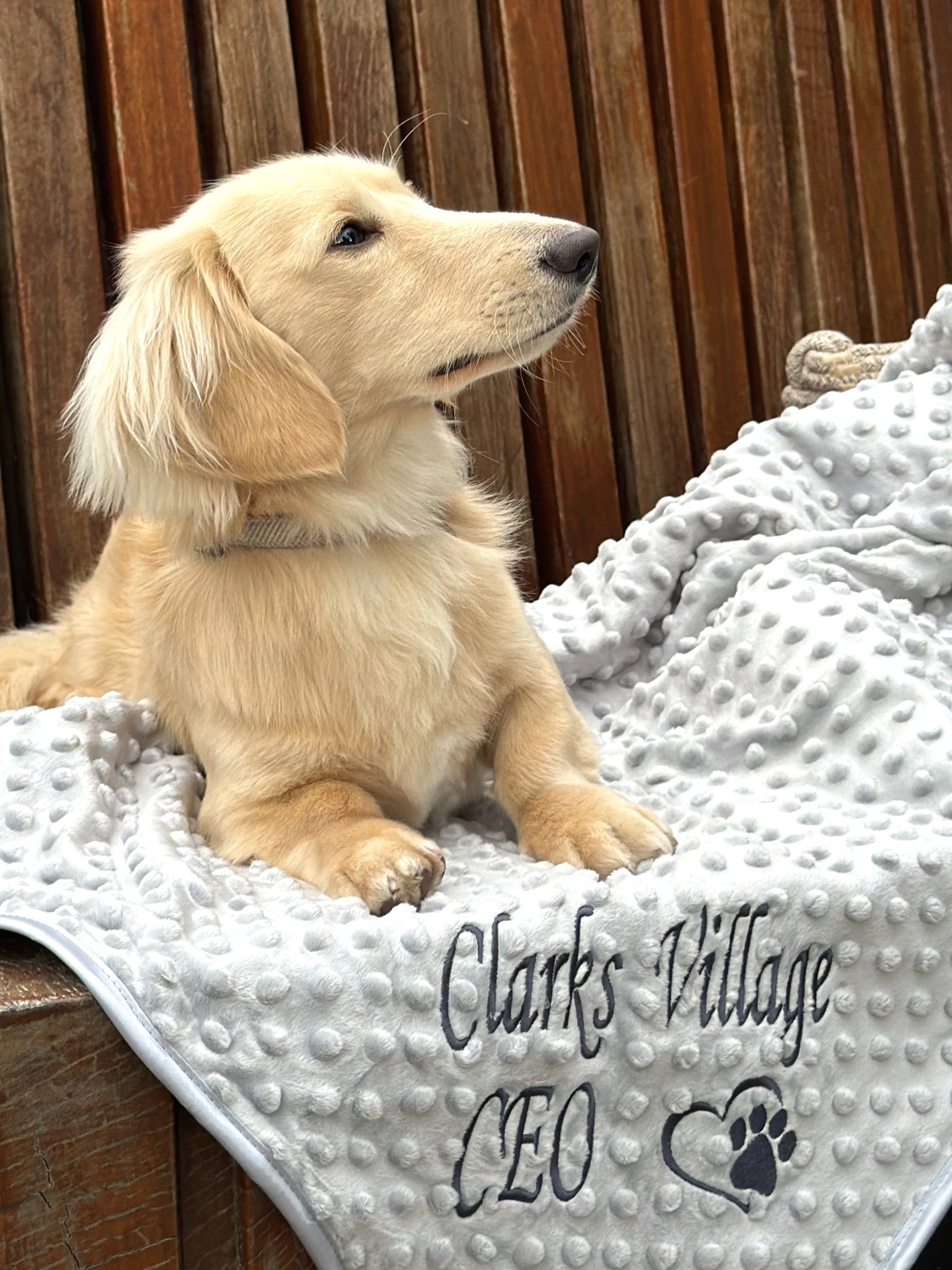 Clarks Village Facebook ad