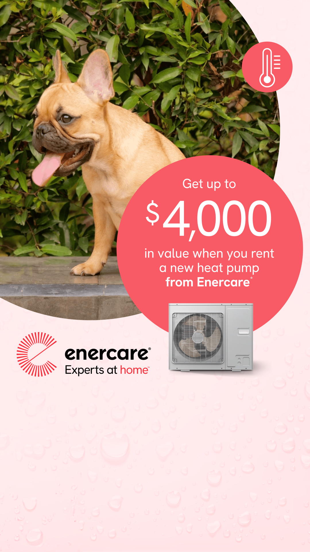 Enercare Facebook ad