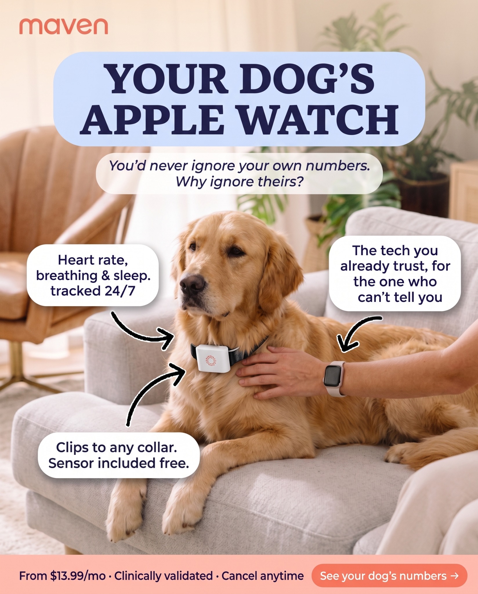 Maven Pet Facebook ad