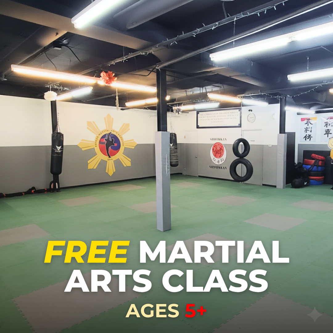 World Martial Arts Academy USA Facebook ad