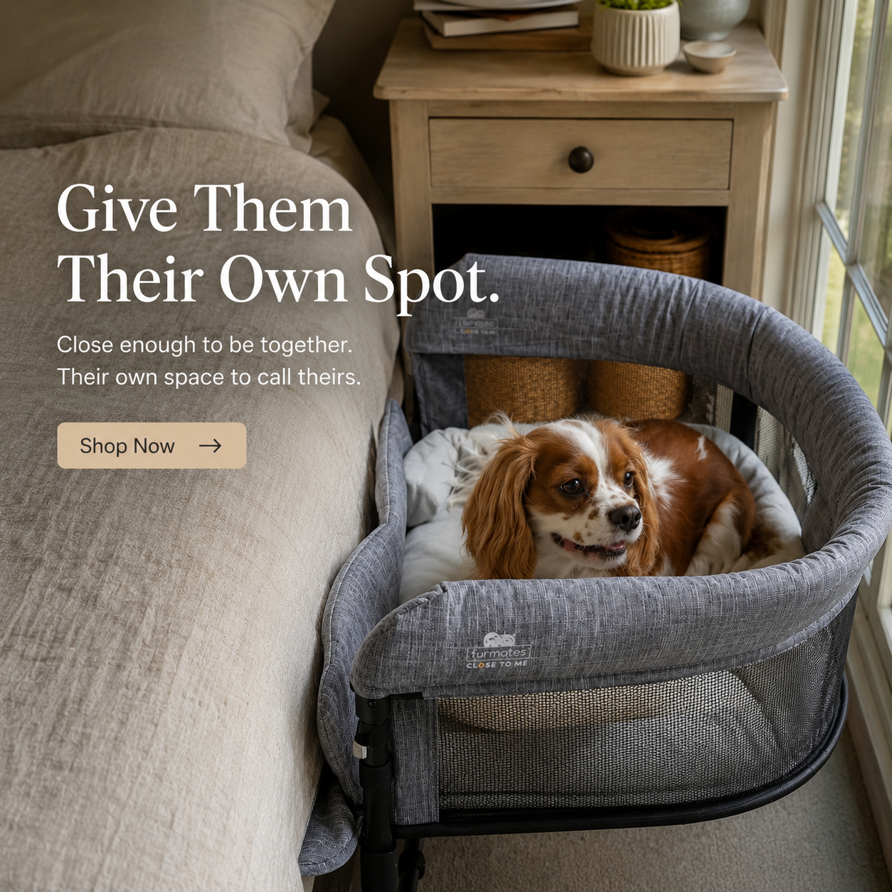 Furmatesusa Facebook ad