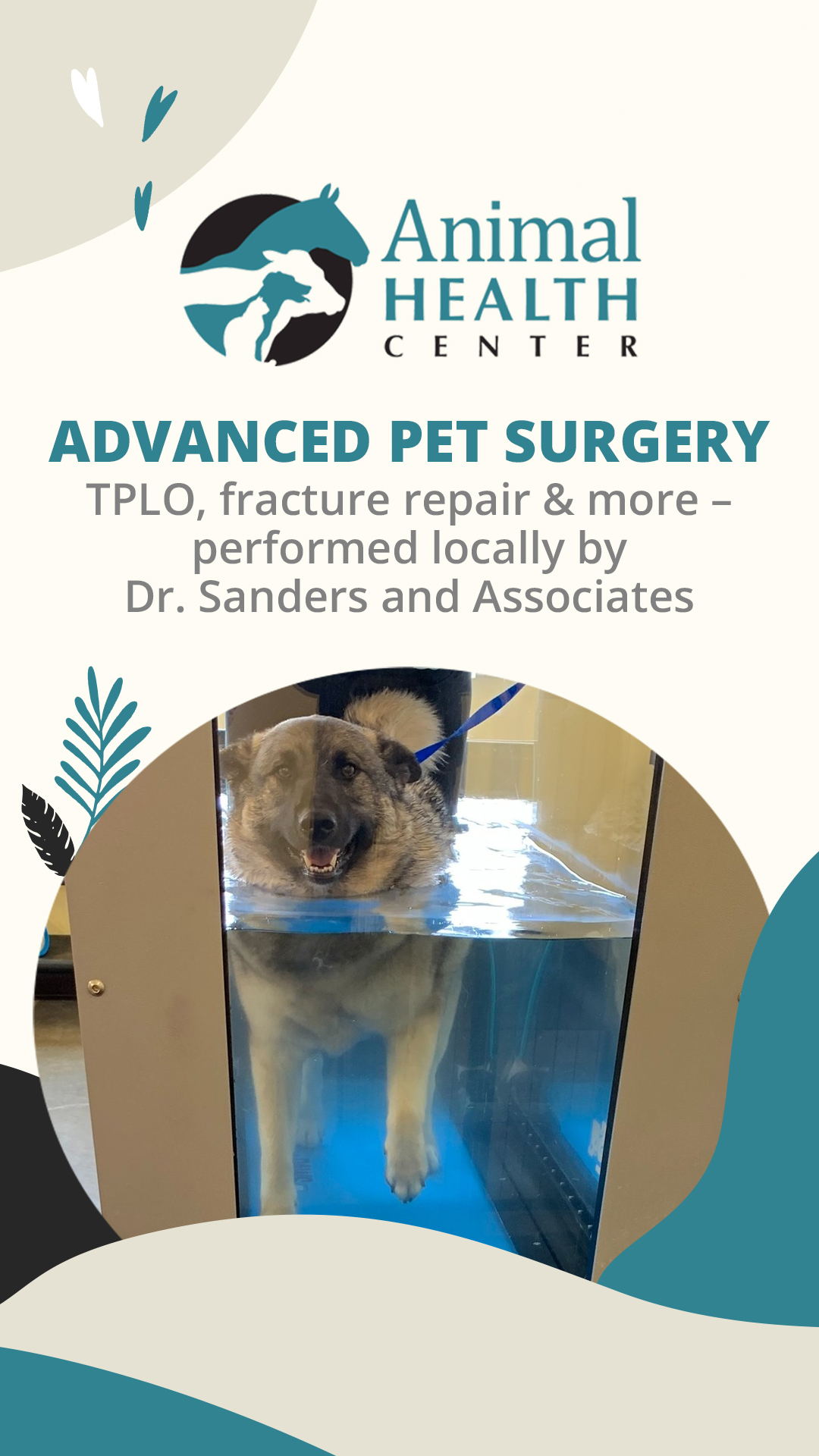 WyoPreps Facebook ad: When your furry best friend needs extra-special orthopedic…