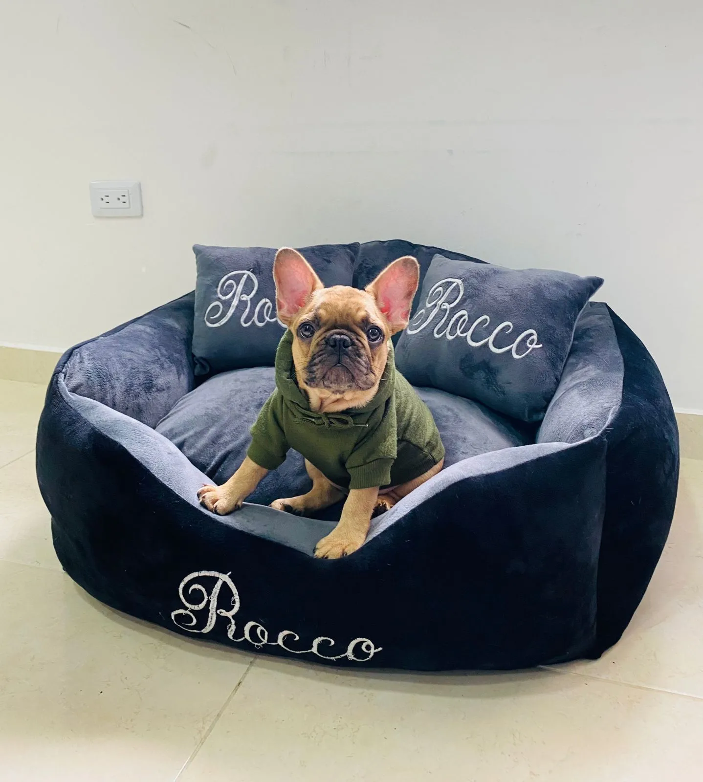 Boutique Fashion PETS Col Facebook ad: Chatea con nosotros