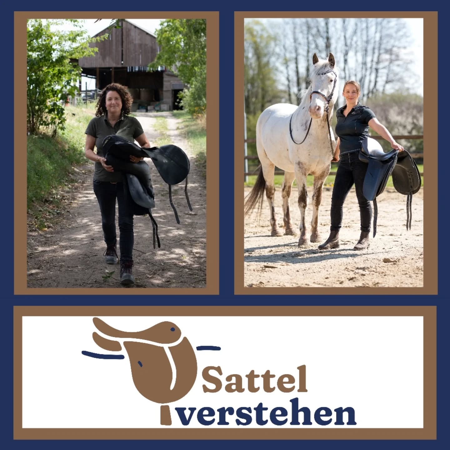 Anna Niering - Pferde Gesundheits Konzept Facebook ad: Sattel verstehen - Sattel verstehen - Weiterbildung von…