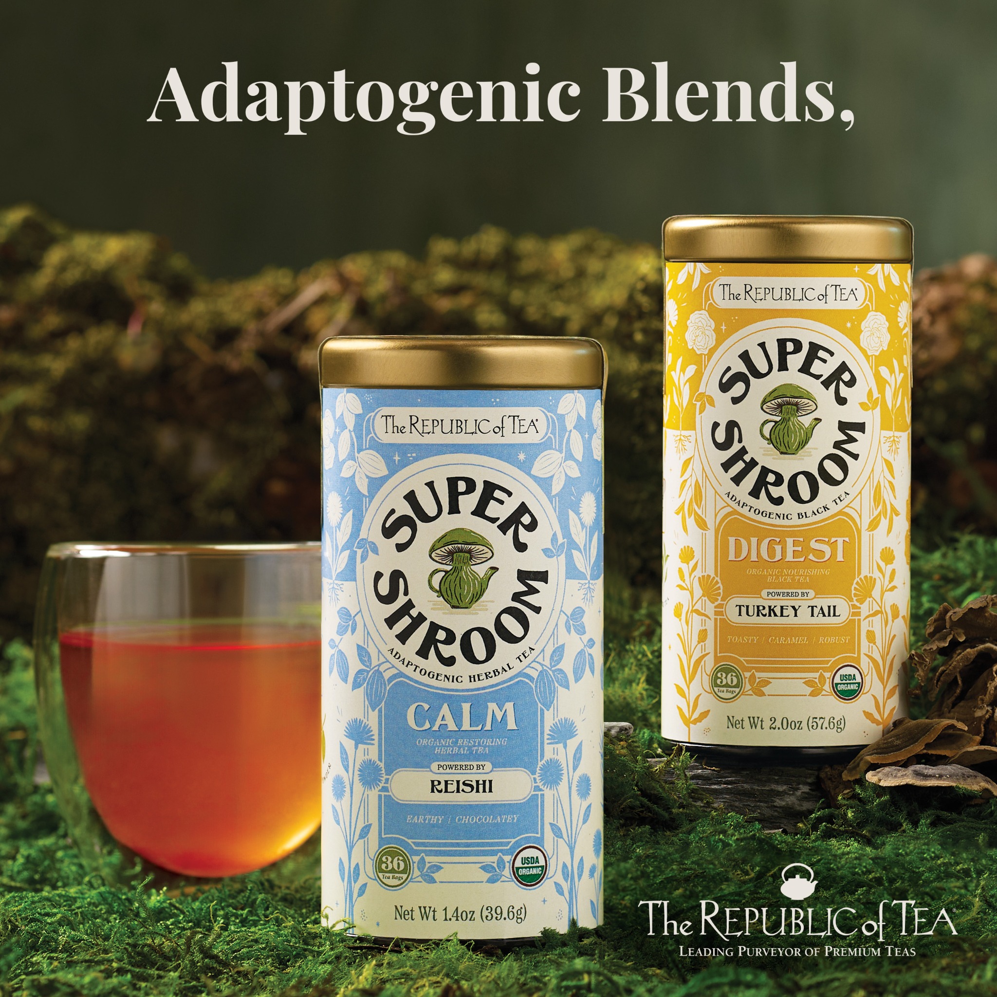 The Republic of Tea Facebook ad