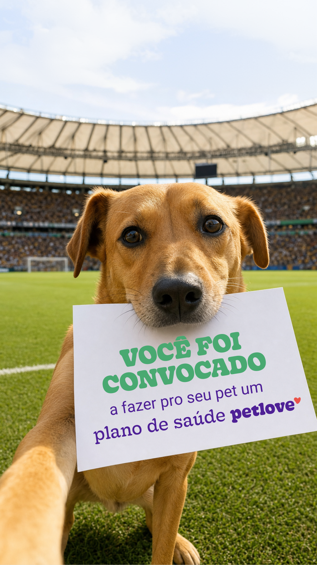 Petlove Facebook ad
