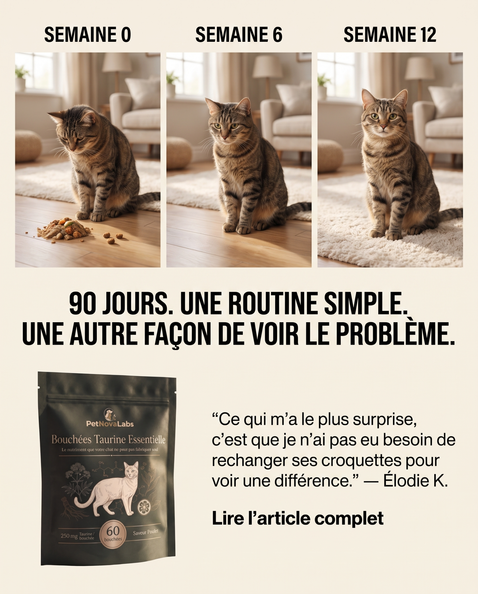 Sophie Martin Facebook ad: STOP: ne changez pas encore ses croquettes