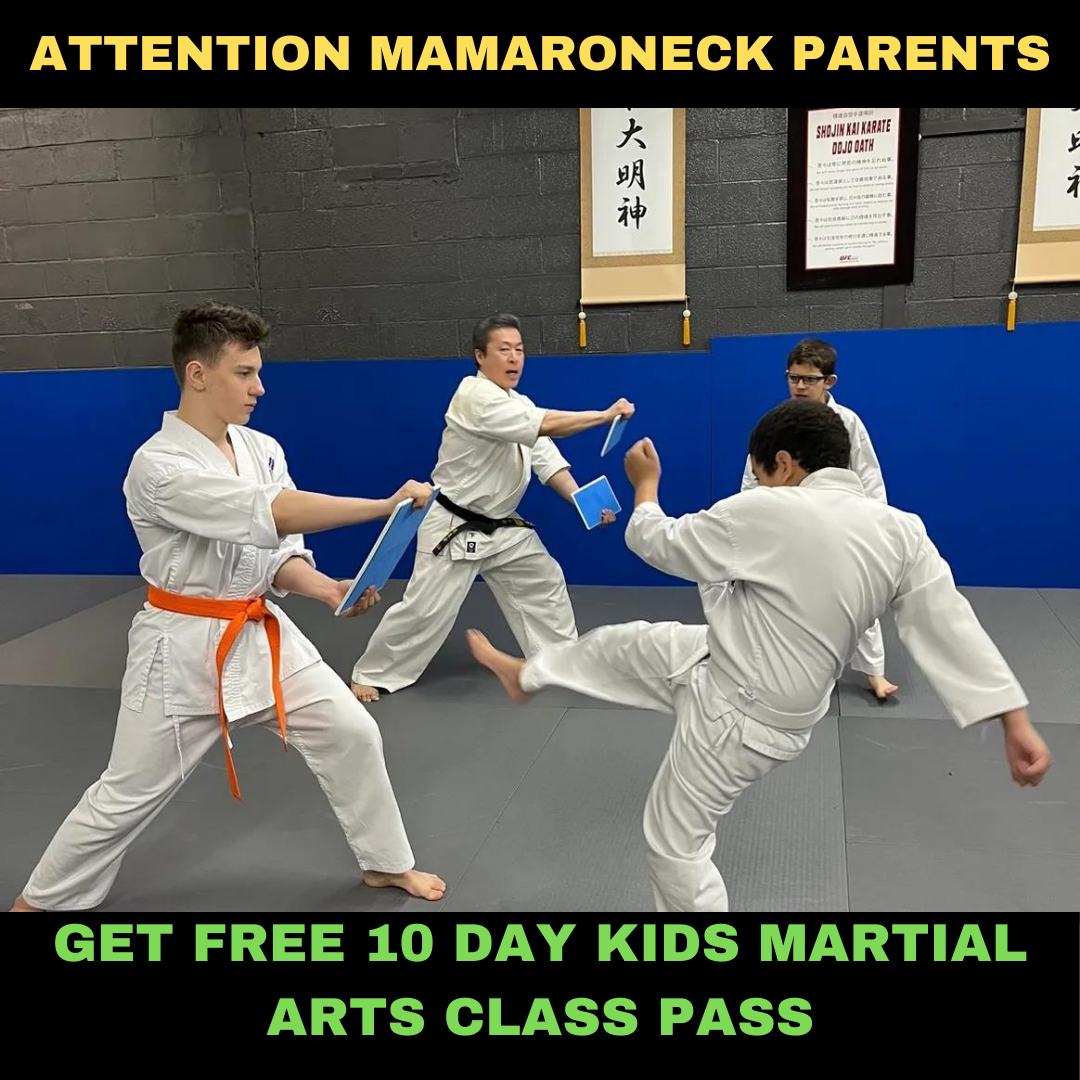MFC GYM Facebook ad: Want a FREE 10-Day, Kids Martial Arts Class Pass?
