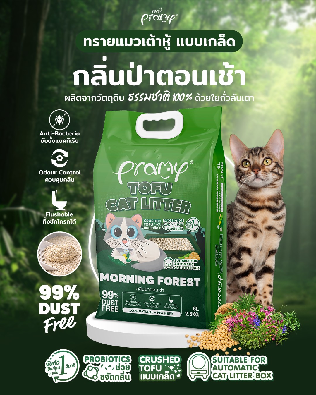 PRAMY อาหารแมวพรามี่ Facebook ad