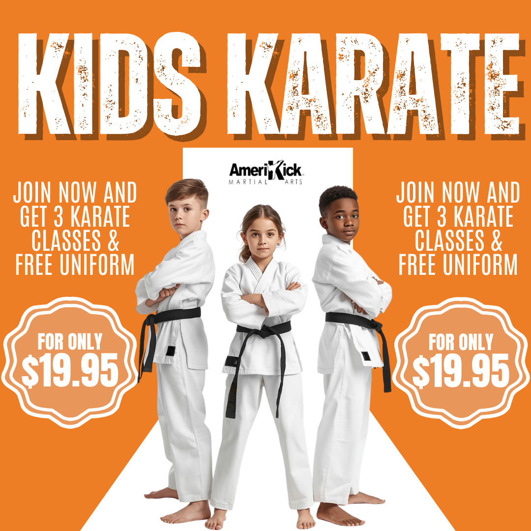 Amerikick Martial Arts Facebook ad