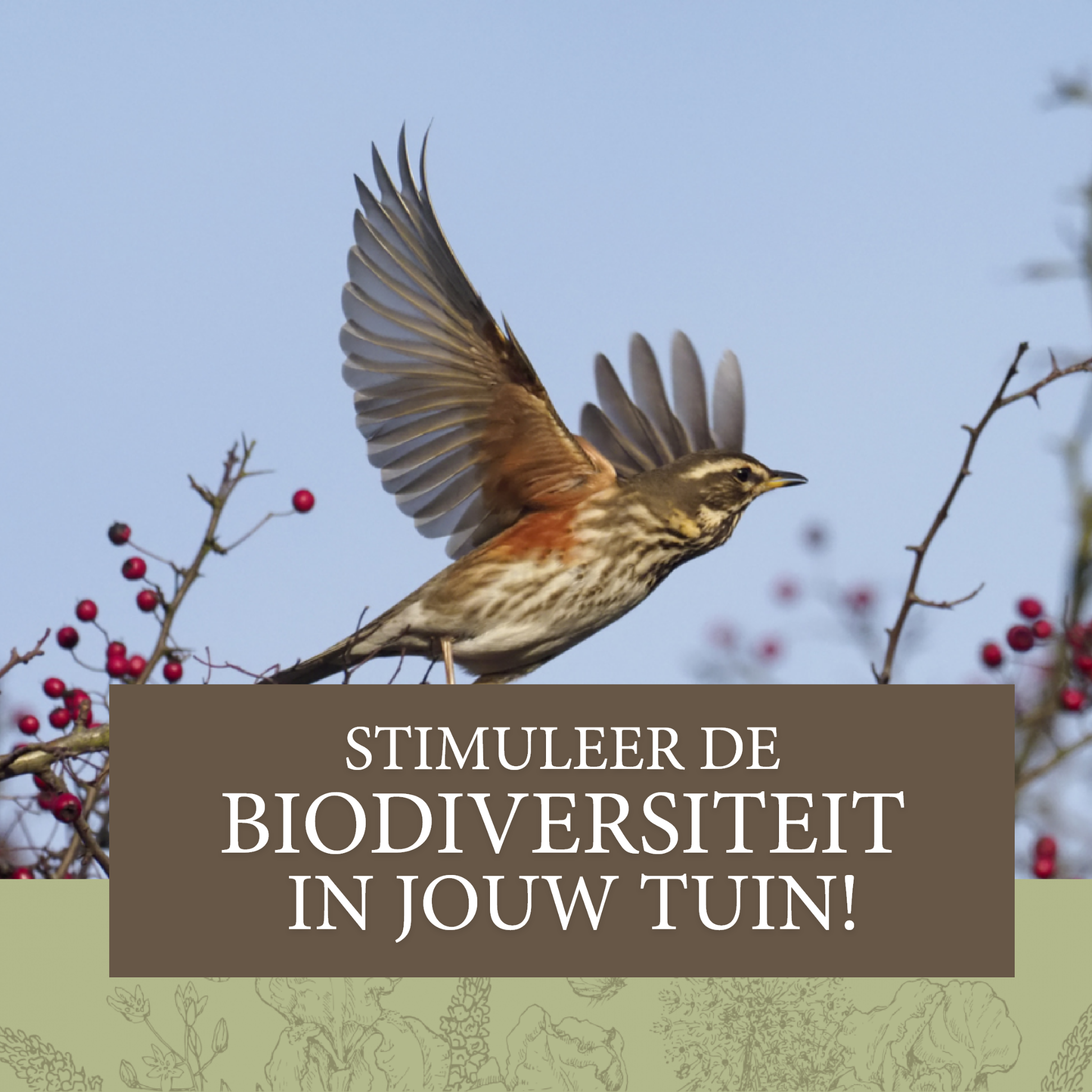 Deli Nature Facebook ad: Wat is er leuker dan vlinders, egels, eekhoorns…