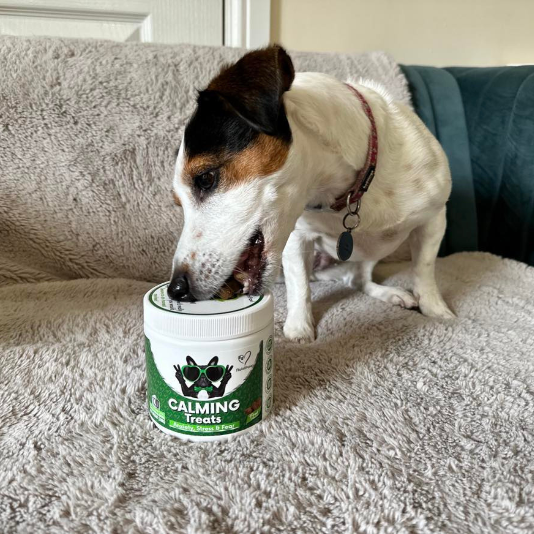 Nutri Paw Facebook ad