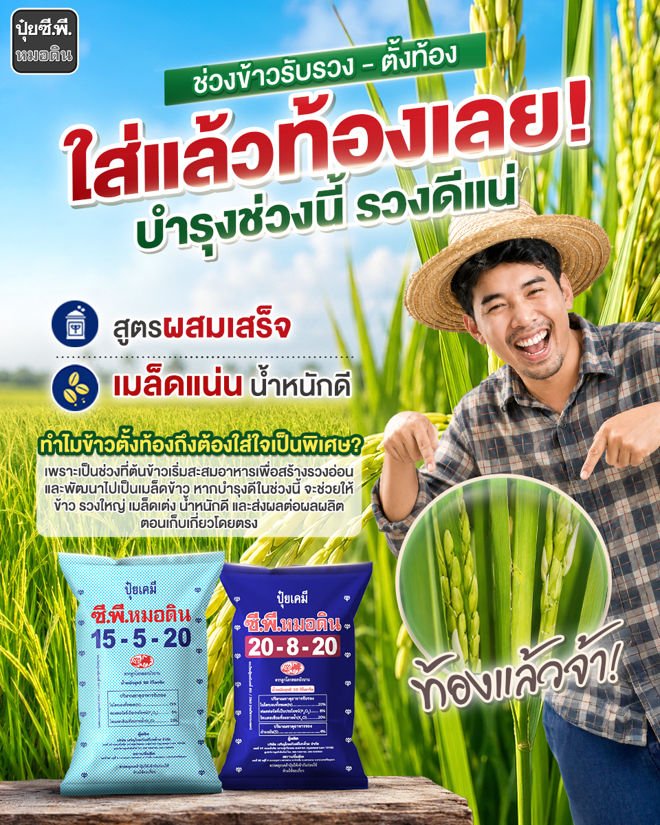 Robrai ปุ๋ยซี.พี.หมอดิน Facebook ad: ใส่แล้วท้องเลยจ้า! บำรุงถูกช่วง รวงใหญ่แน่นอน!
