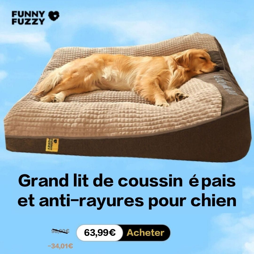 FUNNYFUZZY Facebook ad