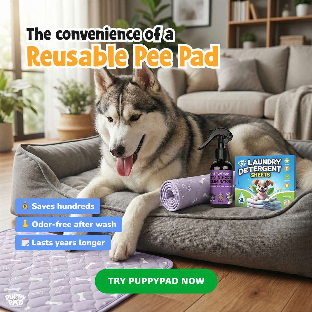 PuppyPad Facebook ad