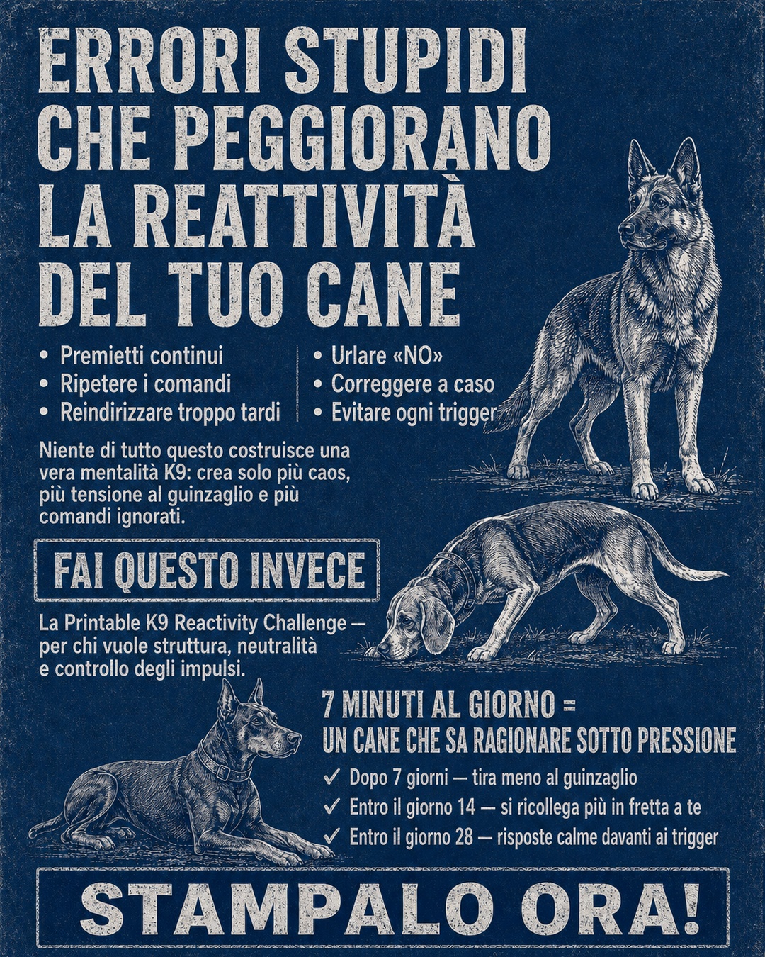 Reactive Dogs Club Facebook ad
