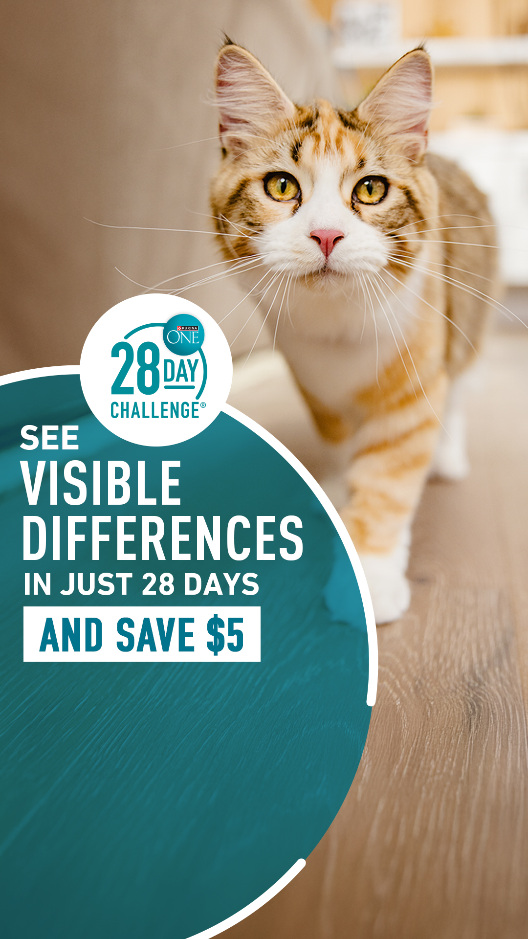 Purina ONE Facebook ad from Jun 8, 2026