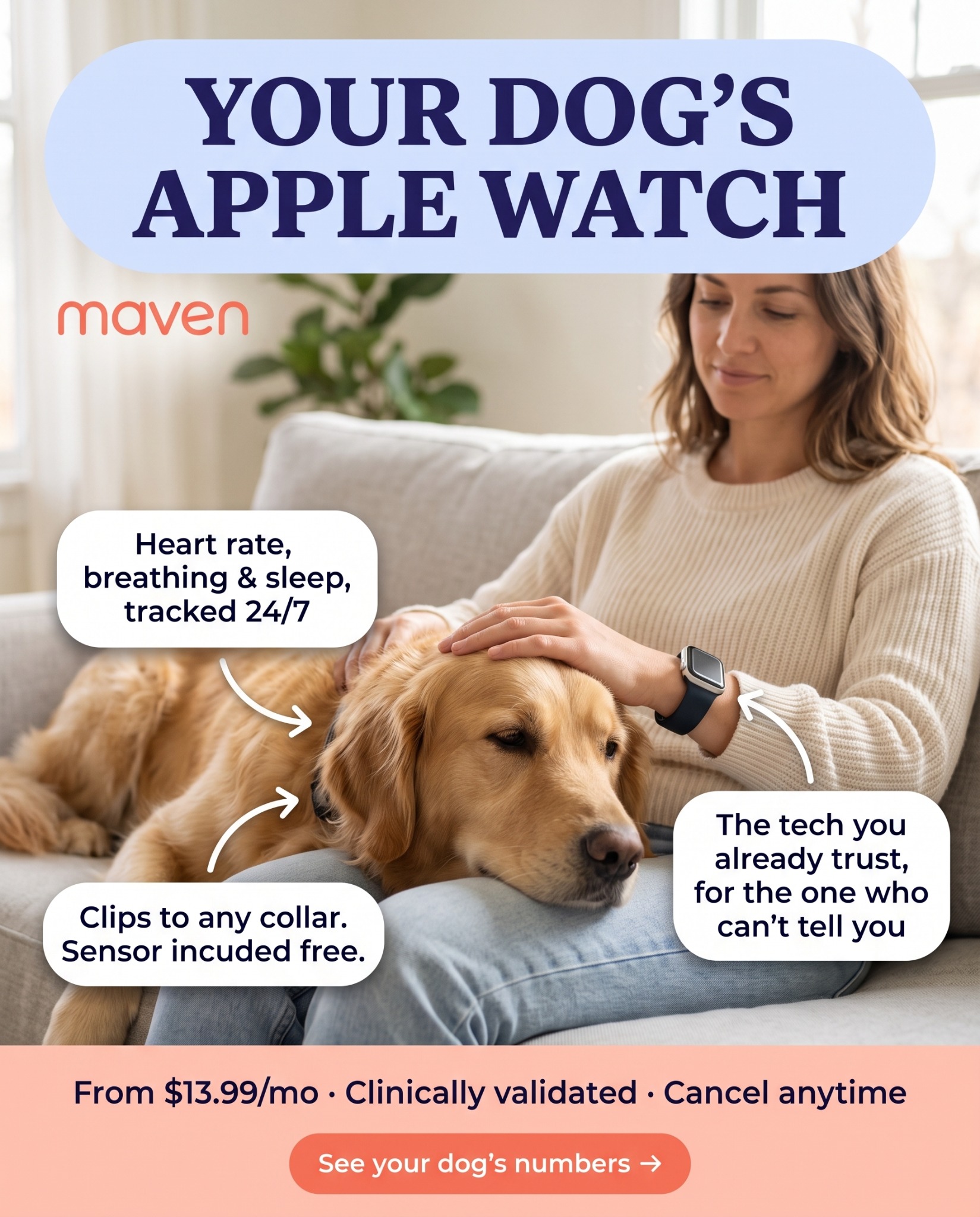 Maven Pet Facebook ad