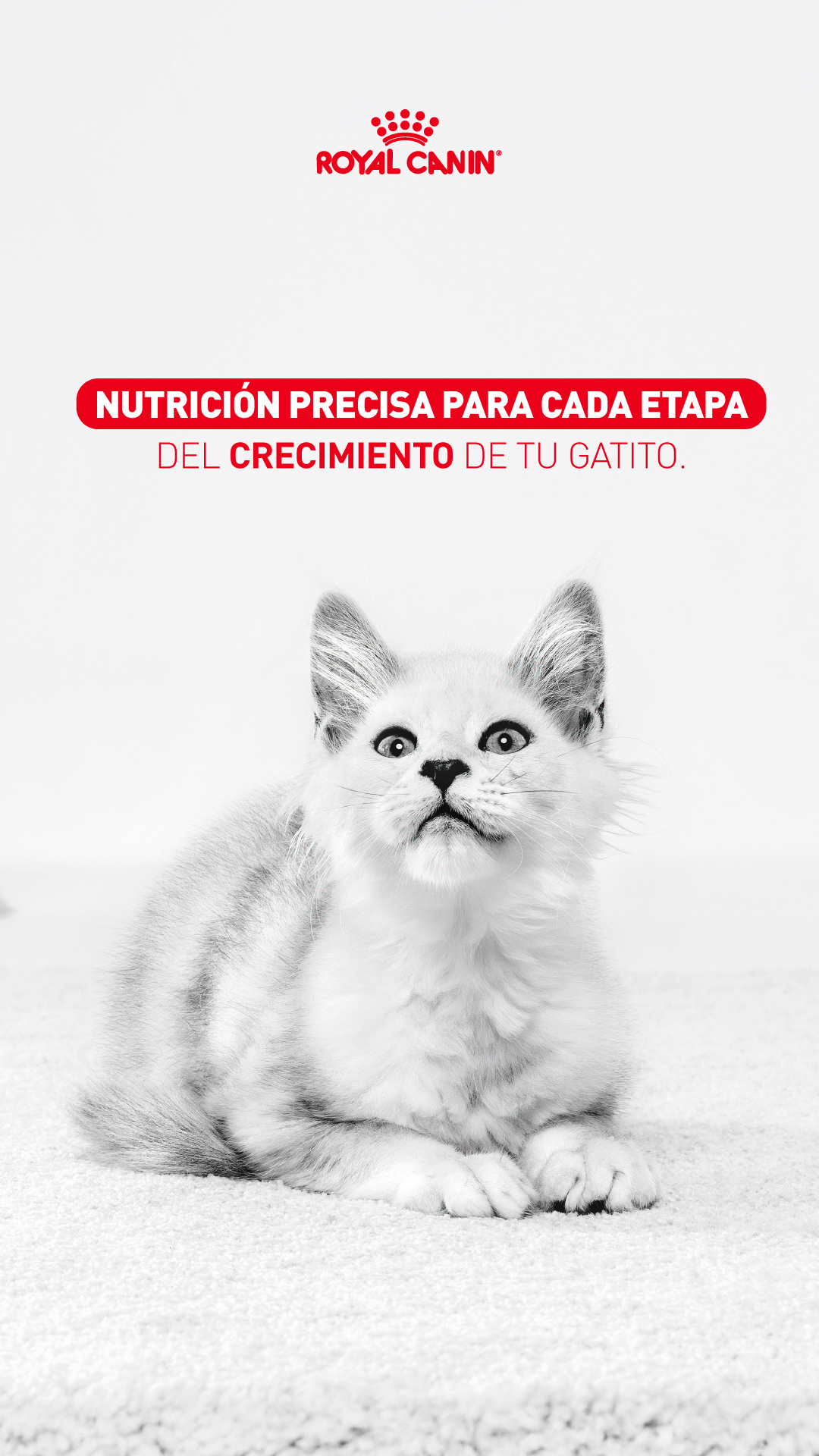 Royal Canin Facebook ad from Apr 17, 2026