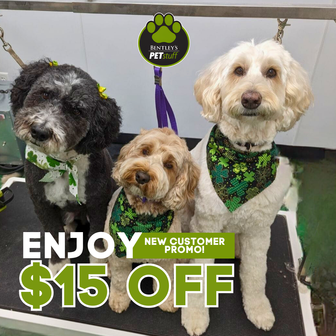 Bentley's Pet Stuff & Grooming Schaumburg Facebook ad